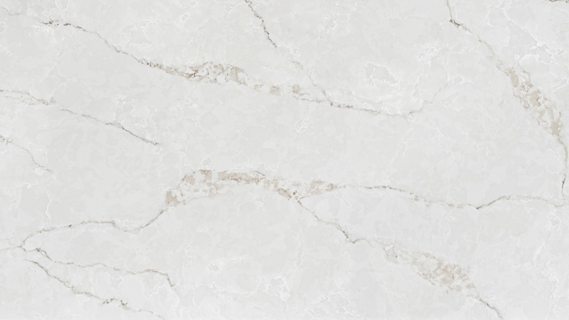 AQ1009-Calacatta-Botanica-Slab-2